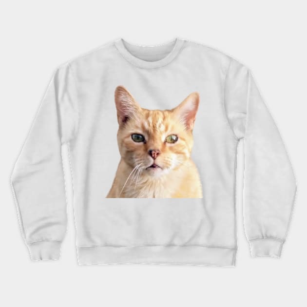 Ginger Cat Head Shot Crewneck Sweatshirt by PLANTONE